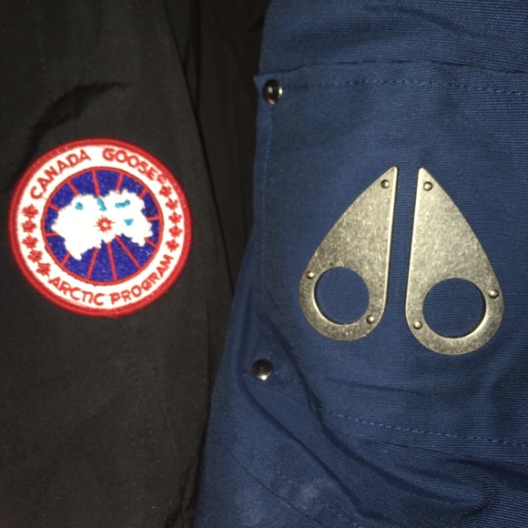 Meet your Posher, Diego - Picture 1 of 1